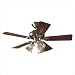 Hunter Fans 20430 Beacon Hill Ceiling Fan in Antique Brass with Reversible Rosewood/M...