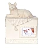 Pet Urn Pet Cat Urn Beloved Companion Holds Picture