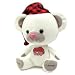 Toy Vault Bedtime Teddy Swearbear Talking Plush Toy