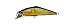 �X�~�X(SMITH LTD) D-�R���^�N�g 85 G�A��