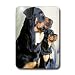 Dogs Rottweiler - Rottweiler - Light Switch Covers - single toggle switch