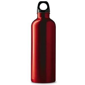 Crocodile Creek Red Stainless Steel 16 Oz Water Bottle