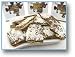 Confuzzled Dark Chocolate Coconut Cookies