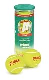Prince Tour Regular Duty Tennis Balls (Can)