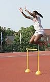 Plyo Hurdles