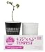 Sure to Grow - Storm Series - Tempest / 4.75x 4.45 (12/Pack)