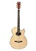 Kansas K-VENETIAN Acoustic/Electric Guitar, Natural