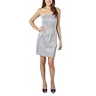 Limited Edition Womens Woven Strapless Dress - Silver Birch
