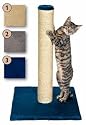 Parla 62cm Cat Scratcher Cats Scratching Post