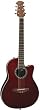 Applause by Ovation AA13-RR Acoustic Guitar
