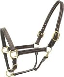 Abetta Leather Show Halter