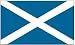 Scotland - St Andrews Cross - 3ft x 5ft Polyester Scottish Flag