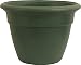 Dynamic Design HP2006FE Hampton 20-Inch Snap-Fit Poly Rim Planter, Fern