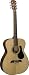 Alvarez  RF210 Regent Series Folk Acoustic Guitar with Hard Case