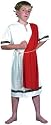 Roman Emperor Fancy Dress Costume (child size) - Medium [Toy]