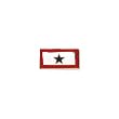 Service Blue Star Lapel Pin