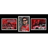 TSF-TS10 Tony Stewart triple shot frame photo. These pieces come double matted in a heavy metal frame with glass front. Features three 5 x 7 photographs of driver and car.