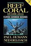 Paul Humann Reef Coral Identification - Florida Caribbean Bahamas