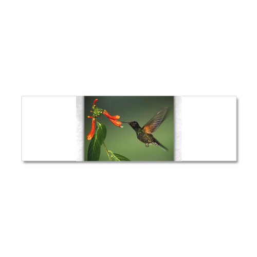 42 x 14 Wall Vinyl Sticker Green Violetear Hummingbird