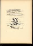 Bilder zur Bibel - 