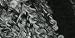 Yarn Light & Lofty-Zebra Stri
