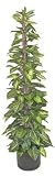 6' Artificial Silk Butterfly Vine on Bamboo Pole Topiary
