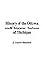 History of the Ottawa and Chippewa Indians of Michigan