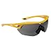 Giro Havik Grand Tour Sunglasses
