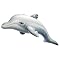 Inflatable Ocean Life Set