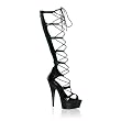 Pleaser Shoes Women&Otilde;s Delight-698, 5 3/4'' Stiletto Heel Lace-Up Platform Sandal