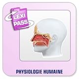 Revue Conitiv - Synchron  / Lexminder Anglais - Logiciel pour mémoriser du vocabulaire - Physiologie humaine
