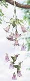 NCE - Hummingbird Duet Wind Chime