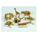 Zoo Rhythm Instruments (Set of 7)