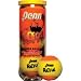 Sporting Goods : Penn Radical Tennis Balls