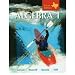 Algebra 1 Grades 9-12: McDougal Littell High School Math Texas