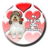 Petit Basset Griffon Vendeen Valentines Pin Badge
