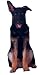 German Shepherd Dog Breed Magnets - Set of 3