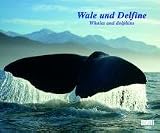 Produkt-Bild: Wale und Delfine 2009