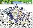 Tinker Bell 3D 2010 Wall Calendar