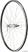 Dimension Value Series 2 700c 36h Rear Wheel Shimano 2200 Silver Hub WTB Freedom Ryder Black Rim