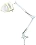 SE 4" Dia. Illuminated. Magnifier, 110V Desk Lamp, White