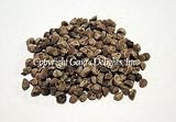 Hawaiian Baby Woodrose Seeds (India)