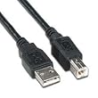 USB 2.0 Cable Type A Male to Type B Male 6 ft, Black
