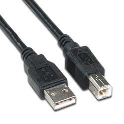 USB 2.0 Cable Type A Male to Type B Male 6 ft, Black