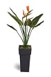 artificial bird of paradise
