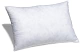 Pinzon Feather And Down 16-By-22-Inch Boudoir Pillow Insert