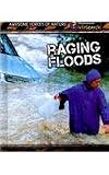 Cover for 9781432937874