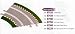 SCX Standard Curve Borders(4+4)