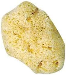 Atlantic Silk Sponge
