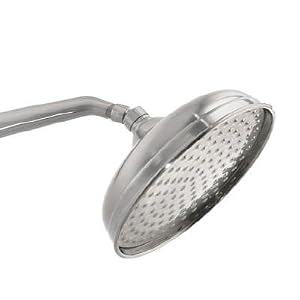Pegasus 10 In. Traditional Can Style Showerhead B61461BNV